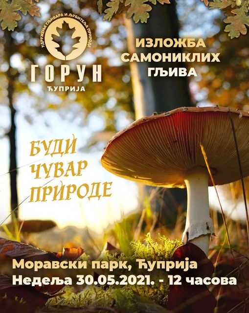 ТРАДИЦИОНАЛНА ИЗЛОЖБА ГЉИВА У НЕДЕЉУ У МОРАВСКОМ ПАРКУ