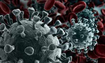 ЗА ВИКЕНД ОТКРИВЕНА СВЕГА ТРИ НОВА СЛУЧАЈА КОВИДА-19