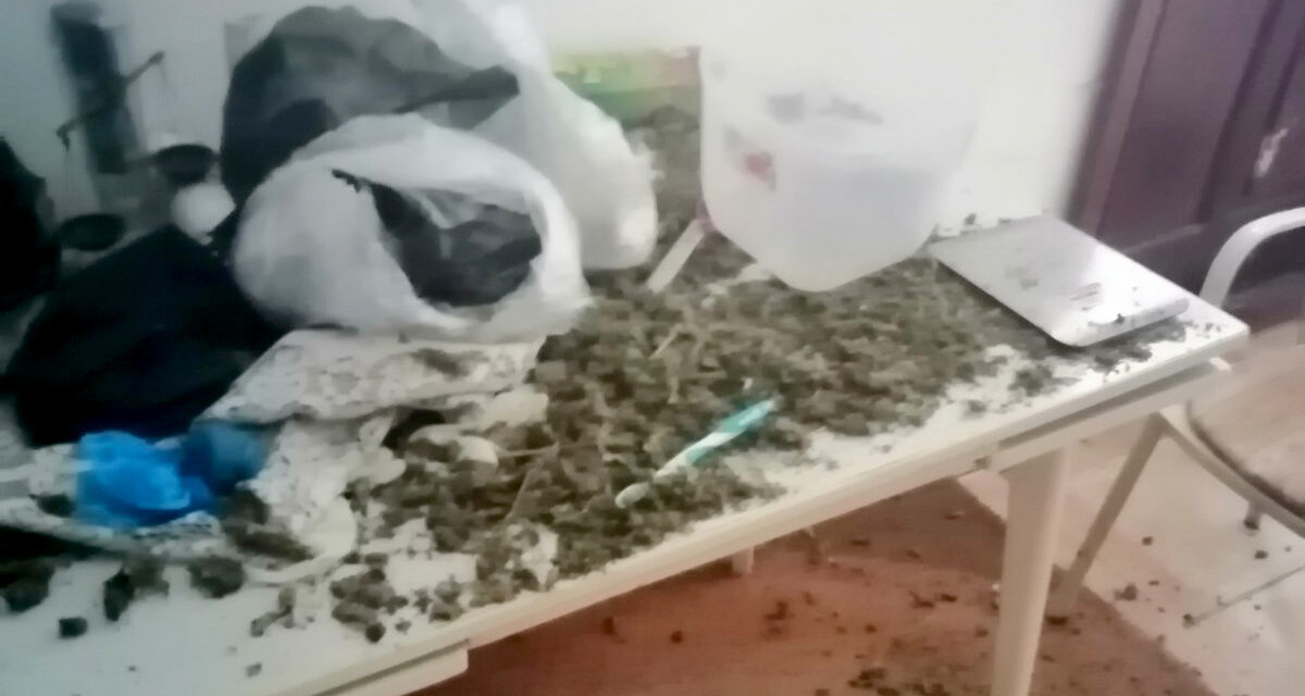 УХАПШЕН ПАРАЋИНАЦ СА 25 КИЛОГРАМА МАРИХУАНЕ