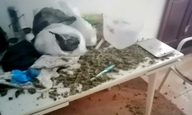 УХАПШЕН ПАРАЋИНАЦ СА 25 КИЛОГРАМА МАРИХУАНЕ