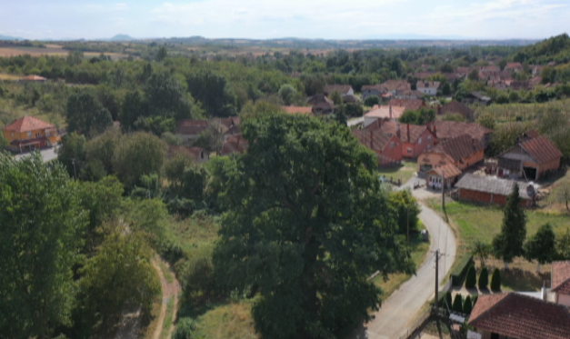 ВЛАДА ДОДЕЉУЈЕ НОВАЦ ЗА КУПОВИНУ СЕОСКИХ ИМАЊА