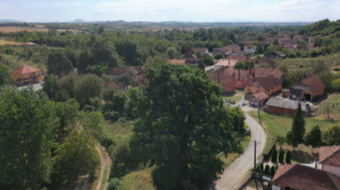 ВЛАДА ДОДЕЉУЈЕ НОВАЦ ЗА КУПОВИНУ СЕОСКИХ ИМАЊА