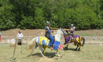 ВИТЕШКИ САБОР „ПЕТРУС“ ЗАБРЕГА