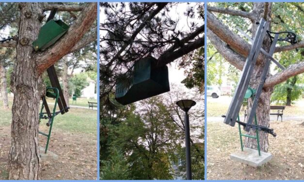 МАЛИ ПАРК КОД ПРВЕ МЗ НА МЕТИ ВАНДАЛА