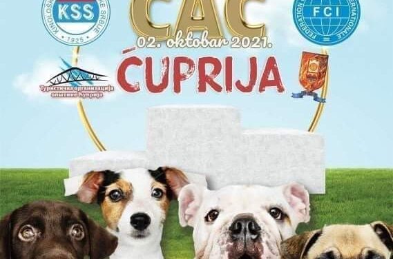 У СУБОТУ НАЦИОНАЛНА ИЗЛОЖБА ПАСА – ЦАЦ ЋУПРИЈА 2021.