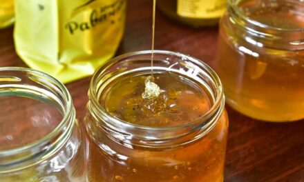 ЗЛАТНО ПРИЗНАЊЕ ЗА МЕД ЋУПРИЈСКИХ ПЧЕЛАРА