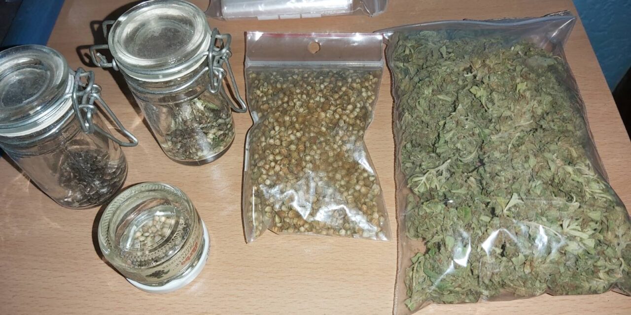 ОТКРИВЕНА ЛАБОРАТОРИЈА ЗА УЗГОЈ КАНАБИСА У ЈАГОДИНИ