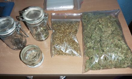 ОТКРИВЕНА ЛАБОРАТОРИЈА ЗА УЗГОЈ КАНАБИСА У ЈАГОДИНИ