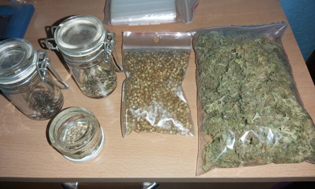 ОТКРИВЕНА ЛАБОРАТОРИЈА ЗА УЗГОЈ КАНАБИСА У ЈАГОДИНИ