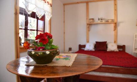 ПОДСТИЦАЈИ ЗА НЕПОЉОПРИВРЕДНЕ АКТИВНОСТИ НА СЕЛУ